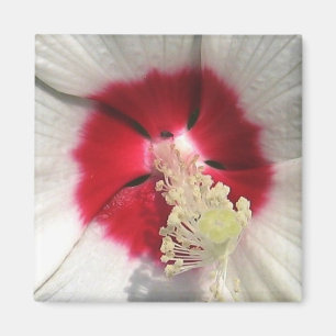 Hibiscus - Magnet