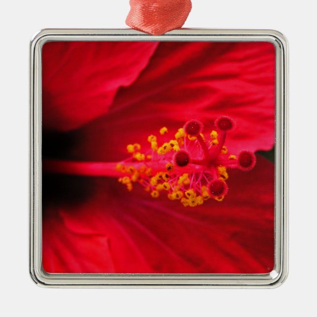 Hibiscus Metal Tree Decoration (Front)