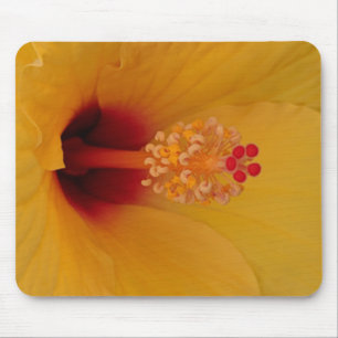 Hibiscus Mouse Pad