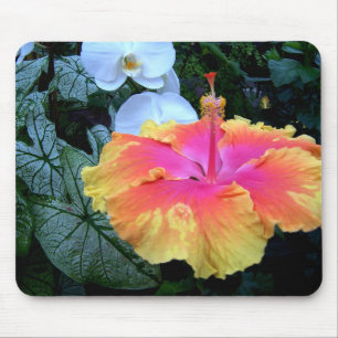 hibiscus mouse pad