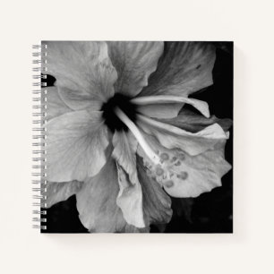 Hibiscus notebook