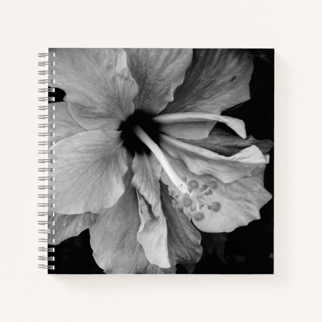 Hibiscus  notebook (Front)