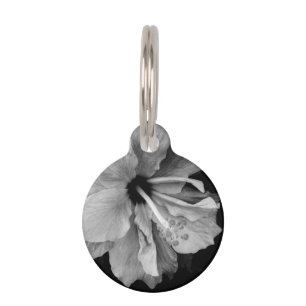Hibiscus  pet tag