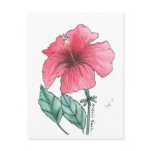 hibiscus postcard