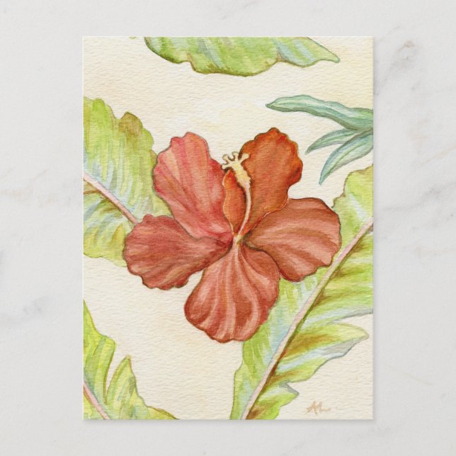 Hibiscus postcard (Front)
