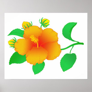 Hibiscus Poster