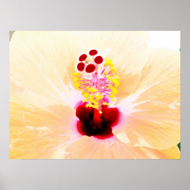 hibiscus poster (Front)