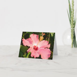 Hibiscus - R Card