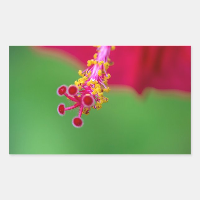 hibiscus rectangular sticker (Front)
