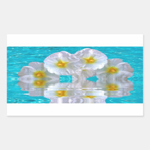 Hibiscus Rectangular Sticker