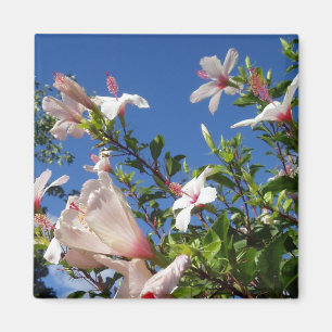 Hibiscus Scenic Magnet