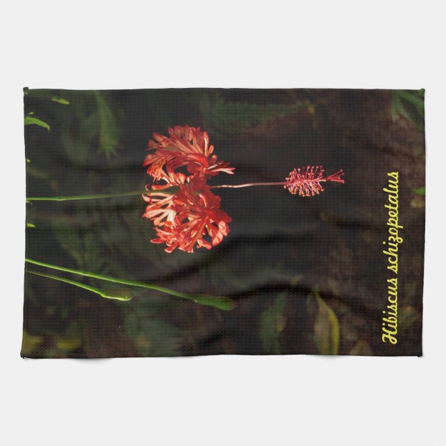 Hibiscus schizopetalus - Japanese Lantern Tea Towel (Horizontal)