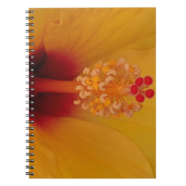 Hibiscus Spiral Notebook (Front)