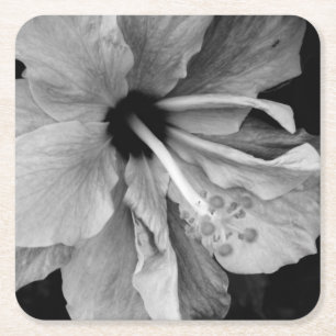 Hibiscus square paper coaster