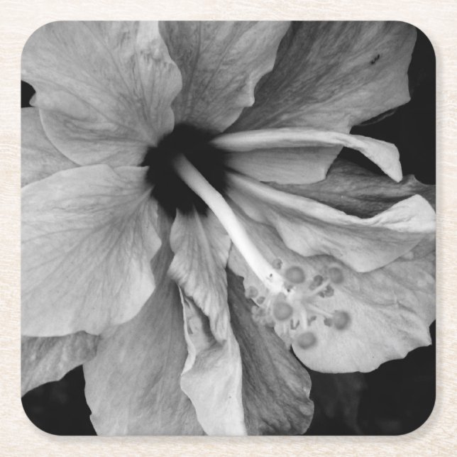 Hibiscus  square paper coaster (Front)