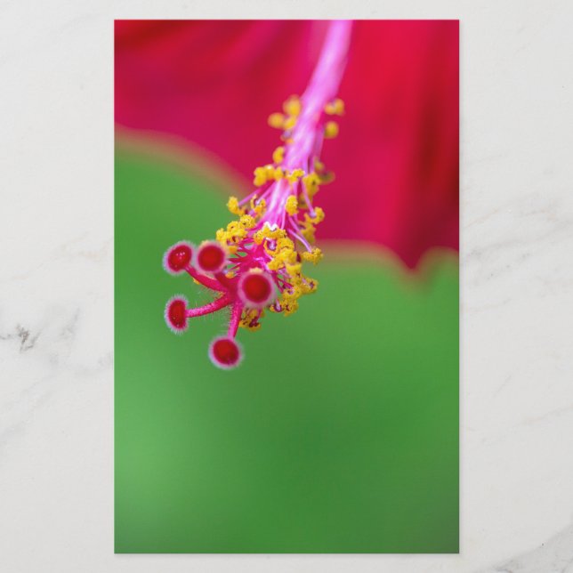 hibiscus stationery (Front)