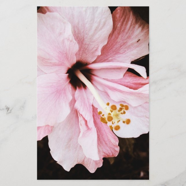 Hibiscus Stationery (Front)