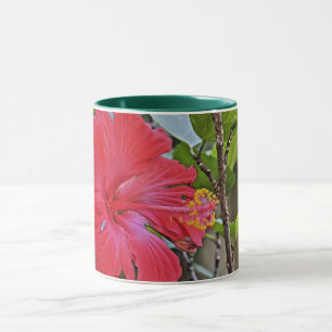 Hibiscus Still Life Mug