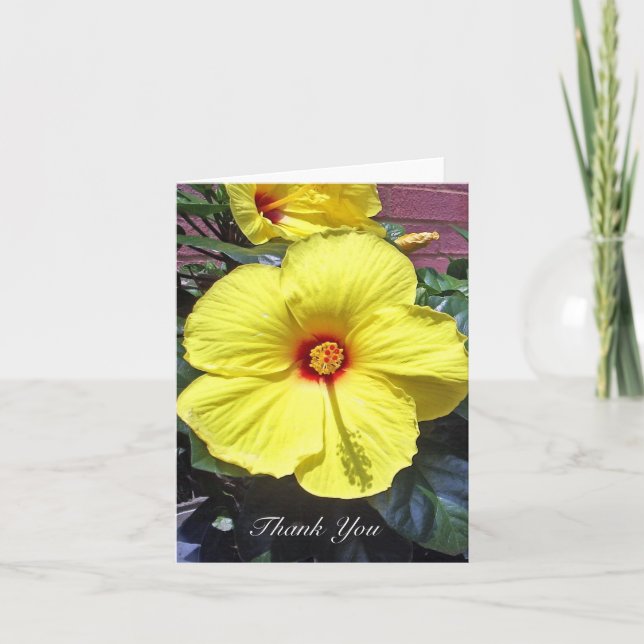 Hibiscus Thank You Card (Front)