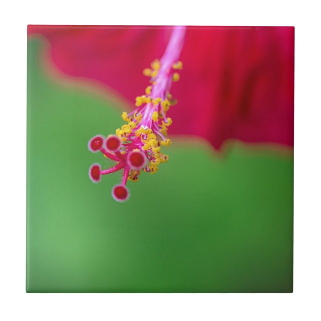 hibiscus tile (Front)