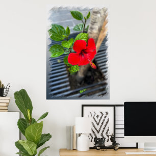 Hibiscus tree root poster
