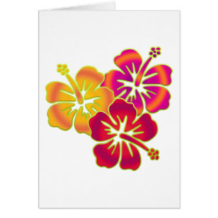 hibiscus trio