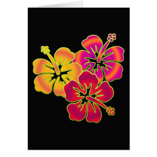hibiscus trio BG black