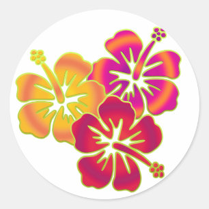 hibiscus trio classic round sticker