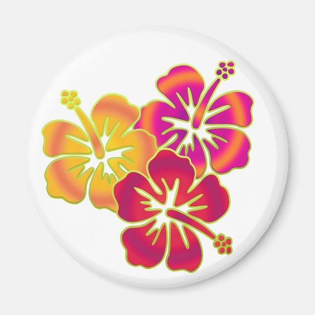 hibiscus trio magnet (Front)