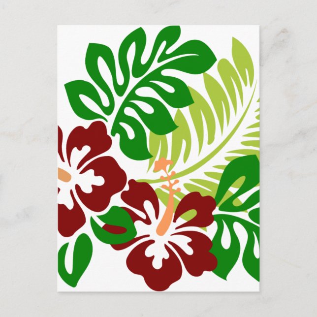 Hibiscus Tropical Flowers Postcard (Front)