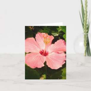 Hibiscus - V Card