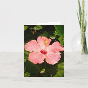 Hibiscus  - V Card