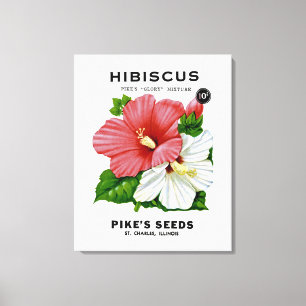 Hibiscus Vintage Seed Packet Canvas Print