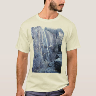 Hickory Nut Falls, North Carolina T-Shirt
