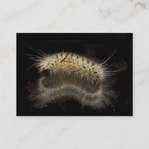 Hickory Tussock Caterpillar ATC Business Card