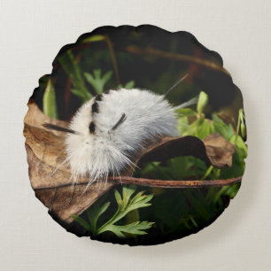 Hickory Tussock Moth Round Cushion