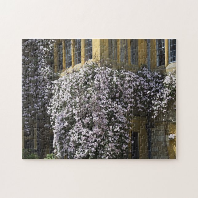 Hidcote Manor Garden Gloucestershire Jigsaw Puzzle (Horizontal)