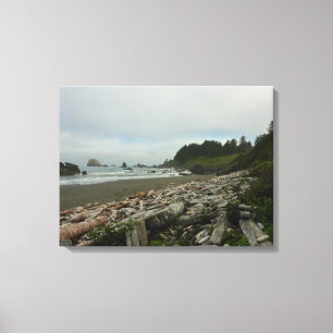 Hidden Beach I at Redwood National Park Canvas Print