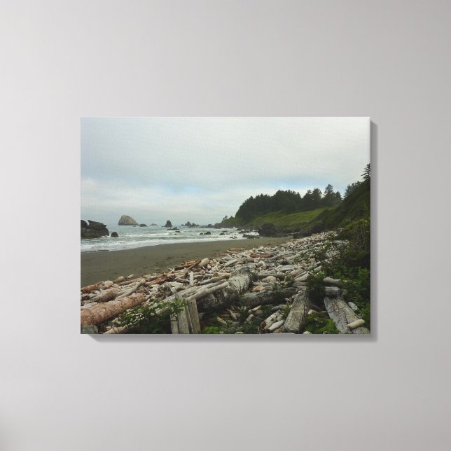 Hidden Beach I at Redwood National Park Canvas Print (Front)