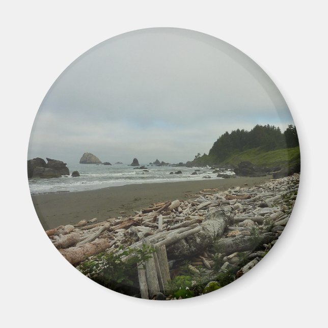Hidden Beach I at Redwood National Park Magnet (Front)