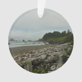 Hidden Beach I at Redwood National Park Ornament