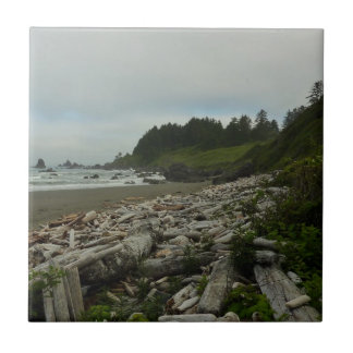 Hidden Beach I at Redwood National Park Tile