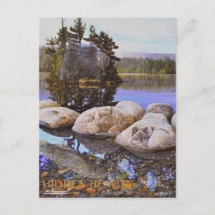 Hidden Beauty Painting Postcard