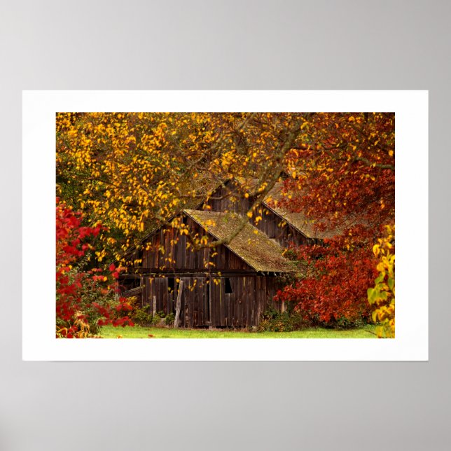 Hidden Beauty. Poster (Front)