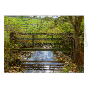 Hidden Creek