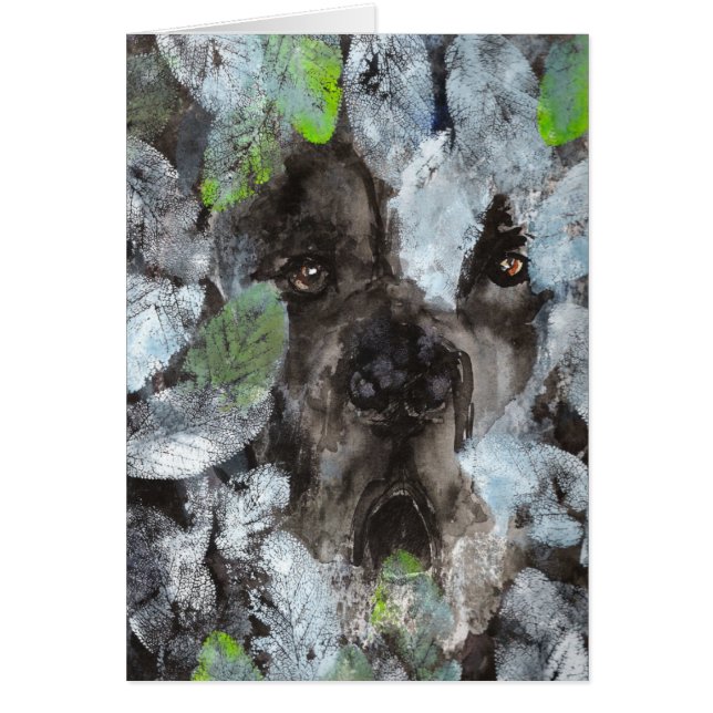 Hidden Dog (Front)