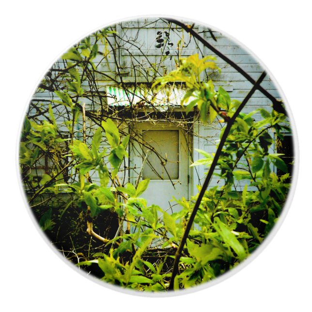 Hidden Door Ceramic Knob (Front)