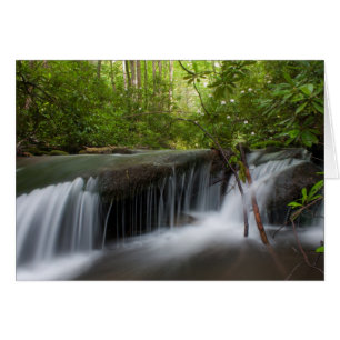 Hidden Falls Card