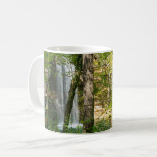 Hidden Falls Coffee Mug