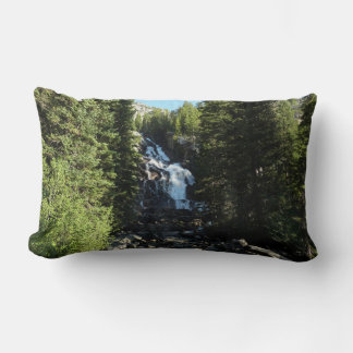 Hidden Falls in Grand Teton National Park Lumbar Cushion